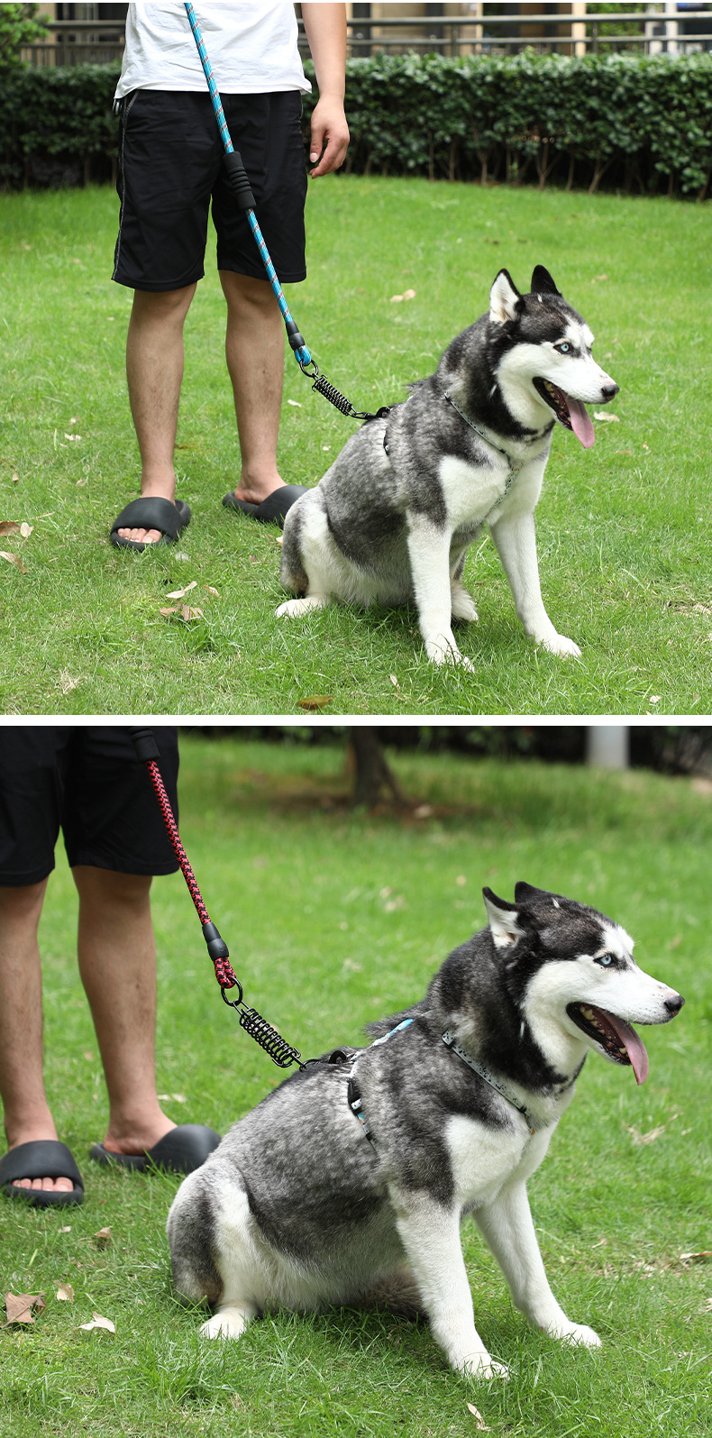 犬 ハーネス 快適ソフトグリップ 伸縮リーシュ