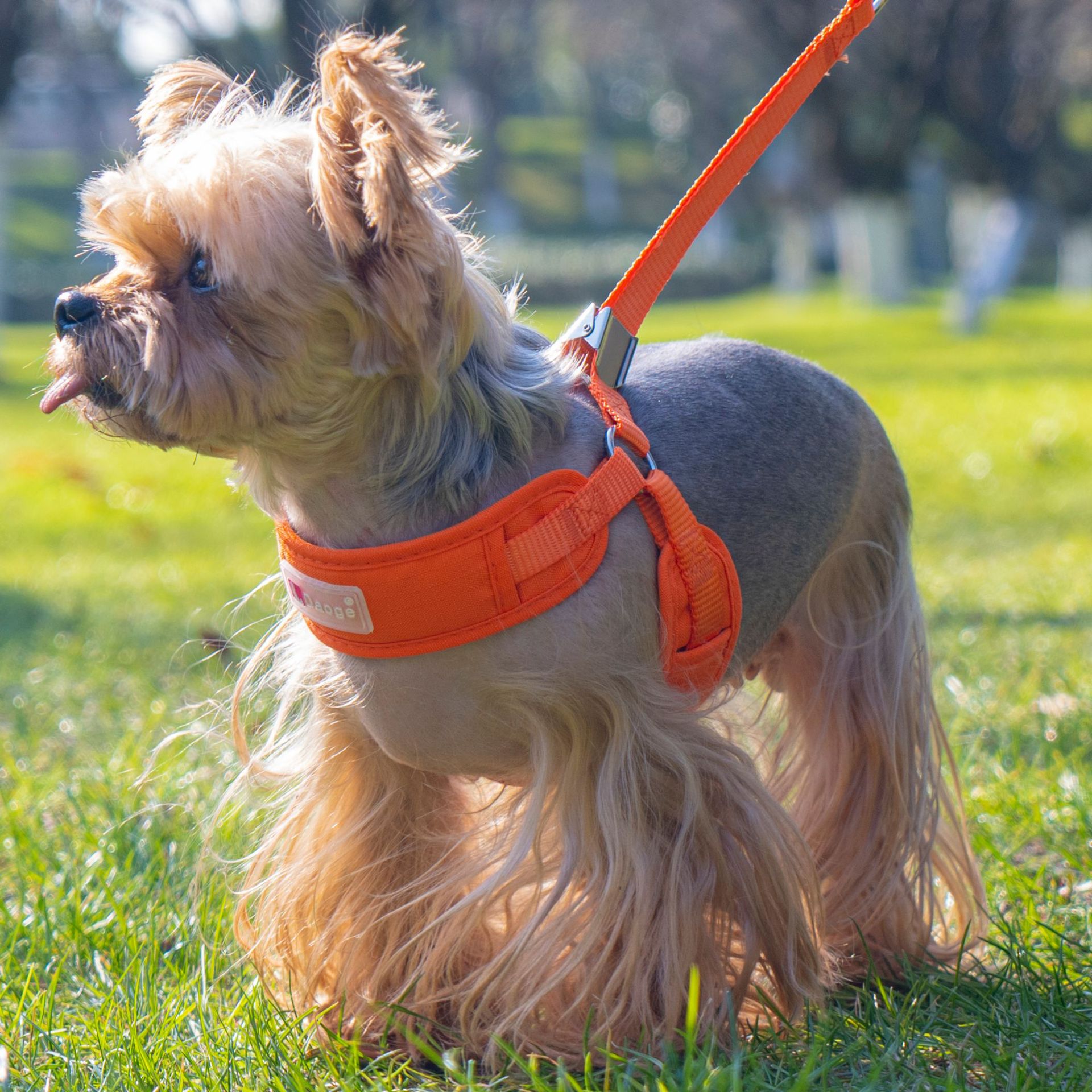 犬 ハーネス なめらかフィット ソフトハーネス