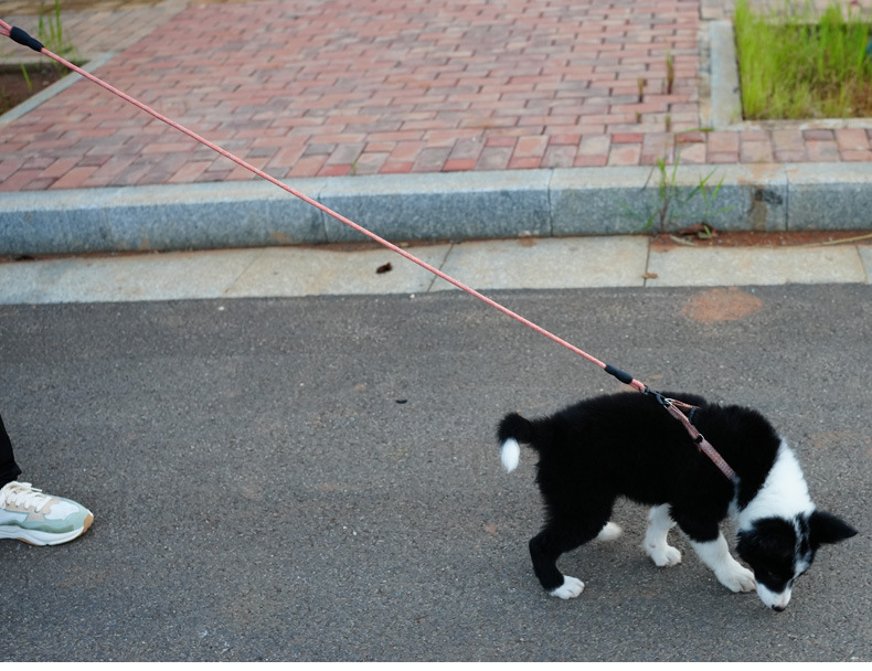 犬 ハーネス やさしさ結ぶ 散歩ハーネス