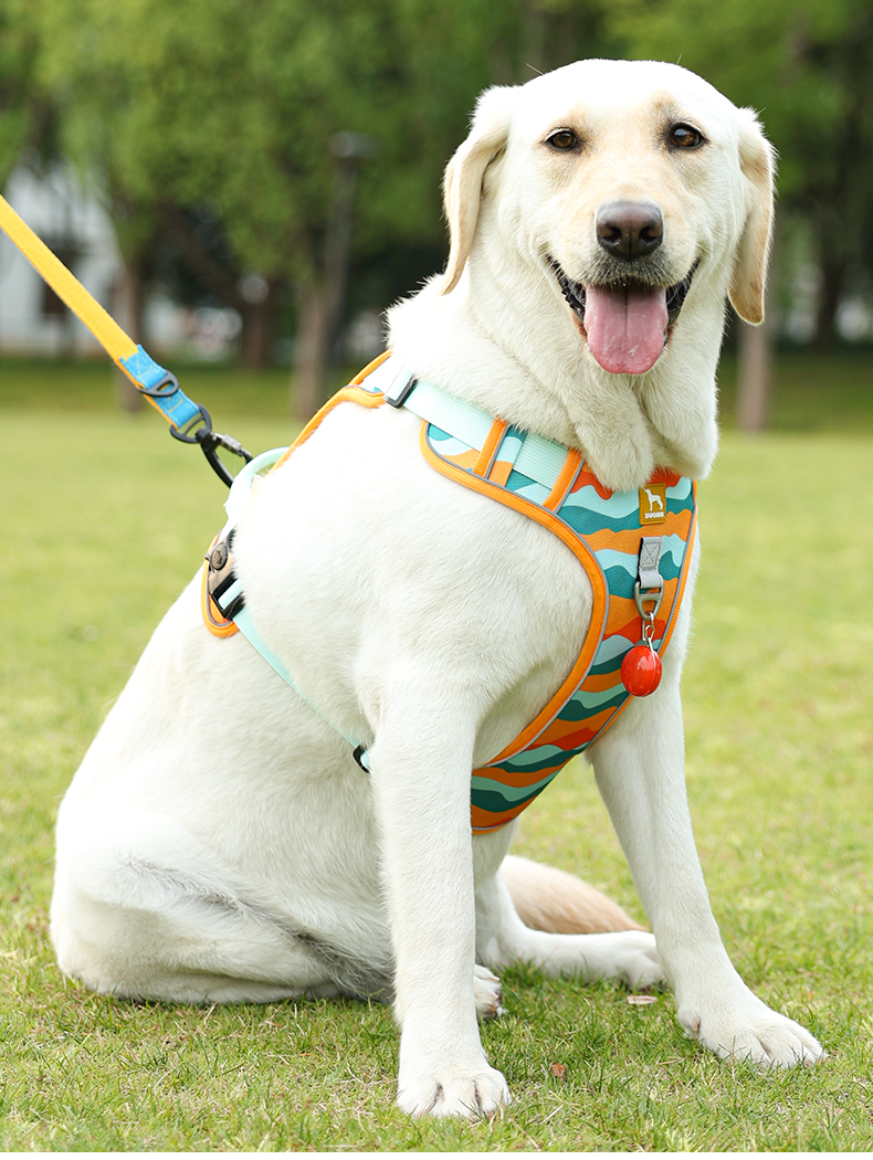 犬 ハーネス やさしさ包む 快適メッシュハーネス