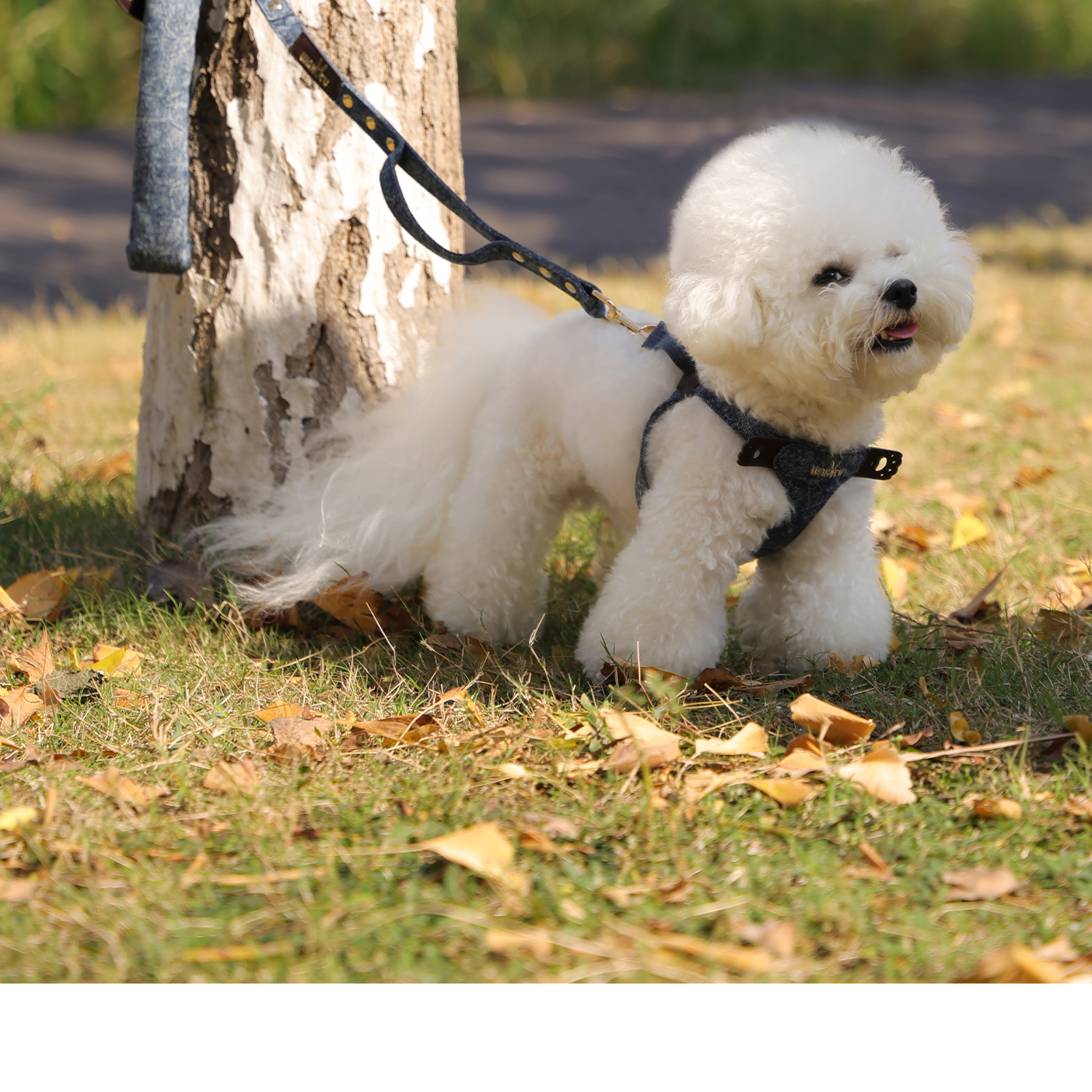https://fulmo-img-server.com/wonderfulharness/6d6f4287-357c-48e5-93f4-e7f116d38c89.jpg