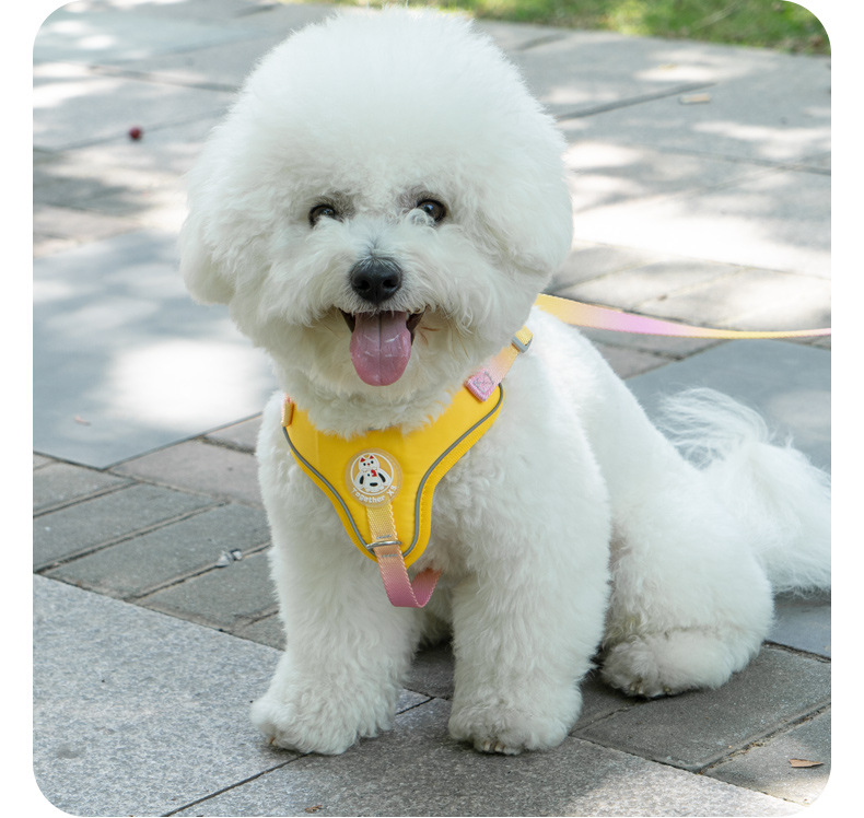 犬 ハーネス ふんわり包み込むやさしいハーネス