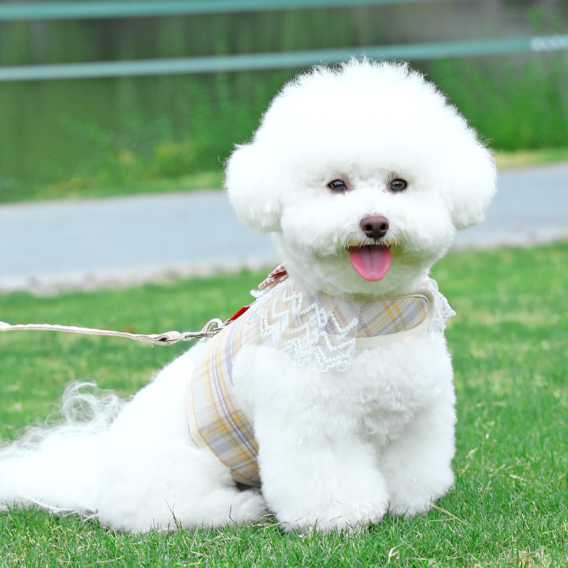 犬 ハーネス フリルレース付き 格子柄ハーネス