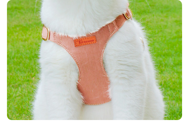 犬 ハーネス 上質なめし革のやさしいハーネス
