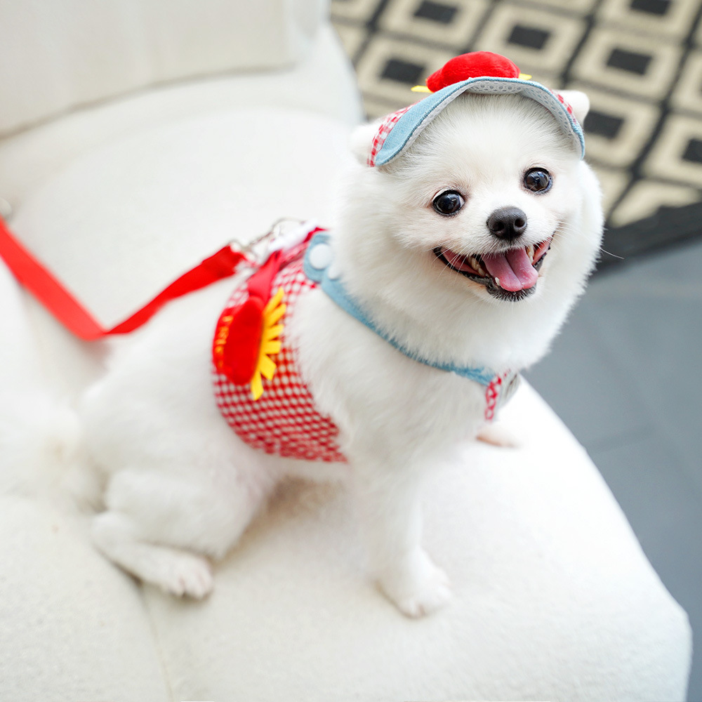 犬 ハーネス ポテト職人のお散歩ハーネス