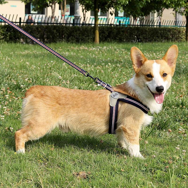 犬 ハーネス なめらか安心メッシュハーネスセット