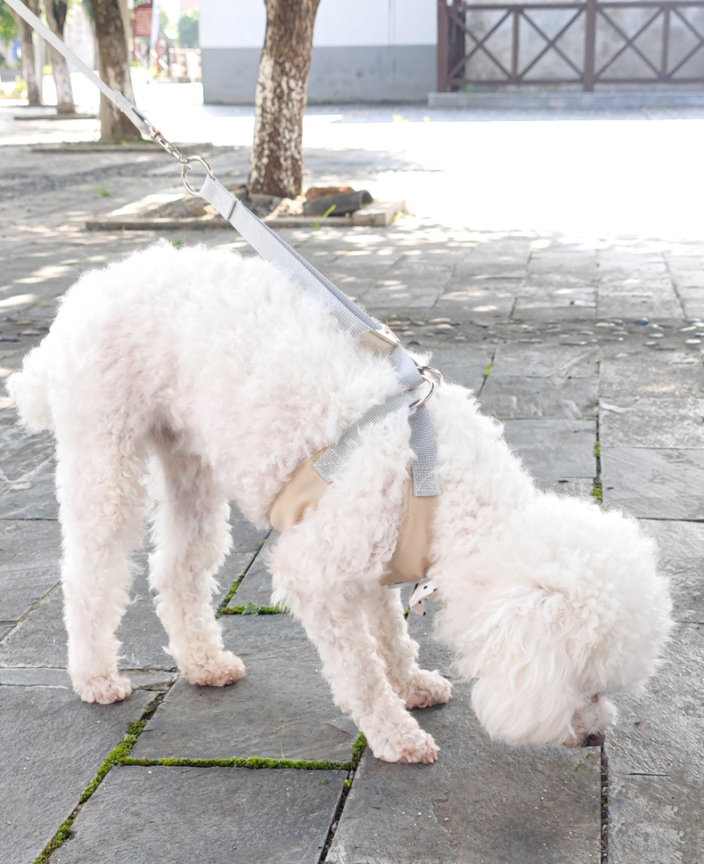 犬 ハーネス 水玉リボン付きハーネス