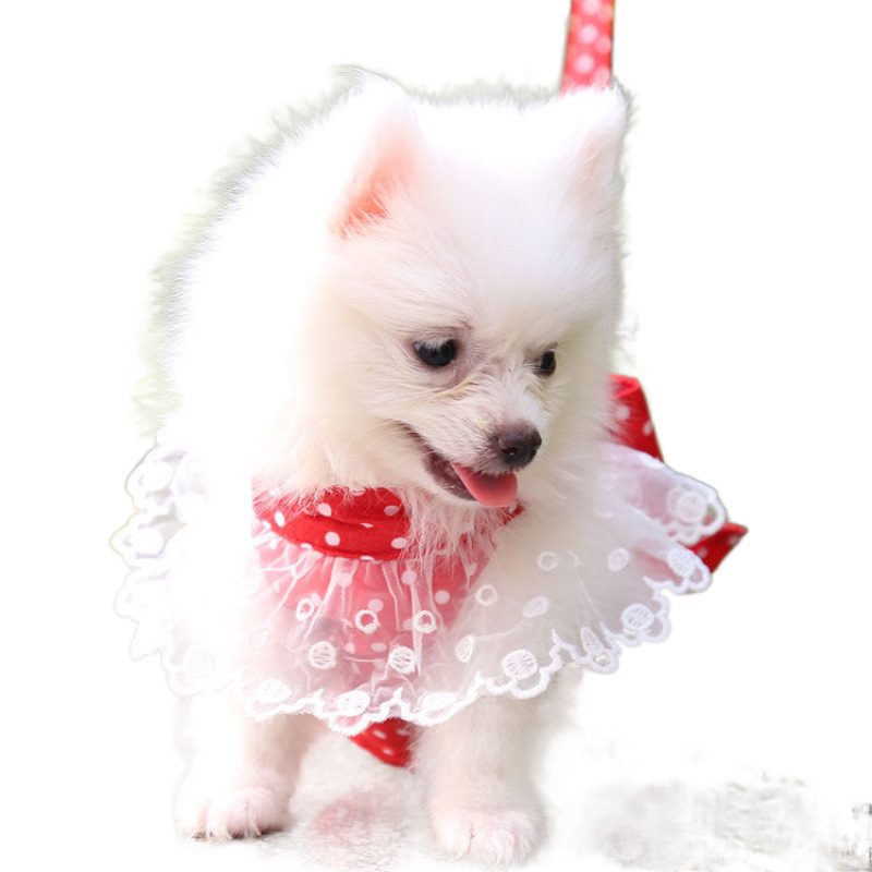 犬 ハーネス うさぎリボン付きドットハーネス