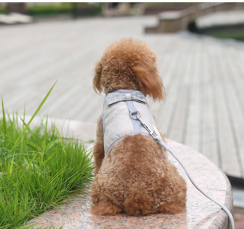 犬 ハーネス リボン付きメッシュハーネス