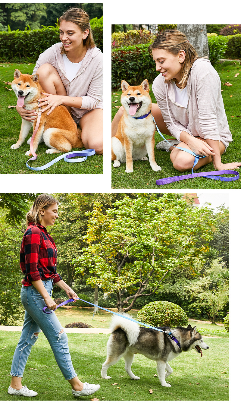犬 ハーネス やさしさ広がる首輪コレクション