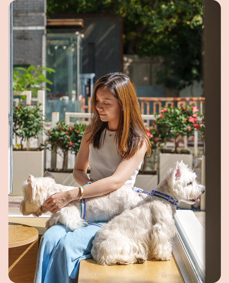 犬 ハーネス やさしい光沢感 ほっそり美人ハーネス