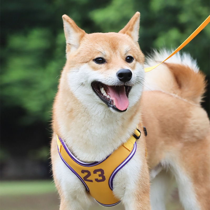 犬 ハーネス スポーツユニフォーム風ハーネス