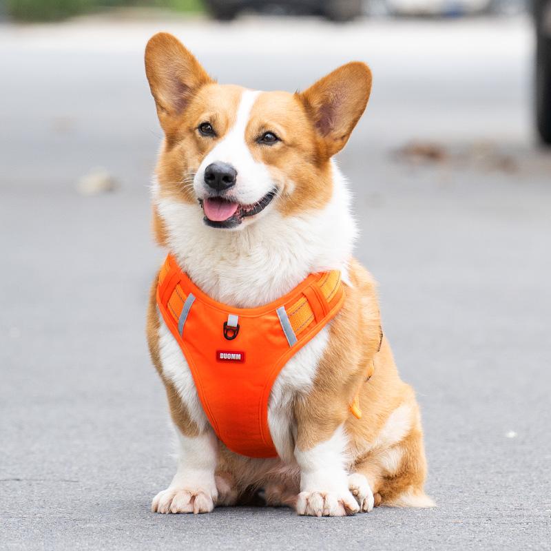 犬 ハーネス ペット快適シンプルハーネス