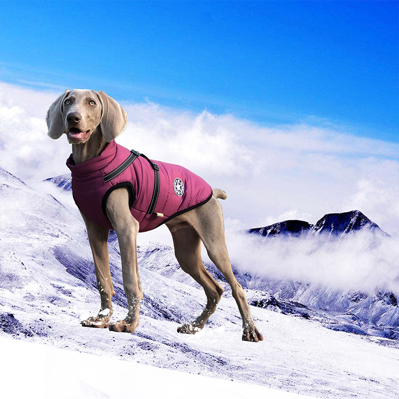 犬 ハーネス 雪山用アウトドアハーネス