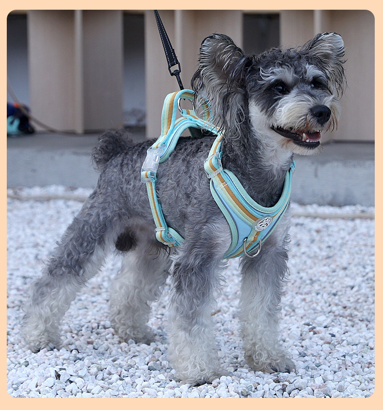 犬 ハーネス すっきり快適 やわらかハーネス