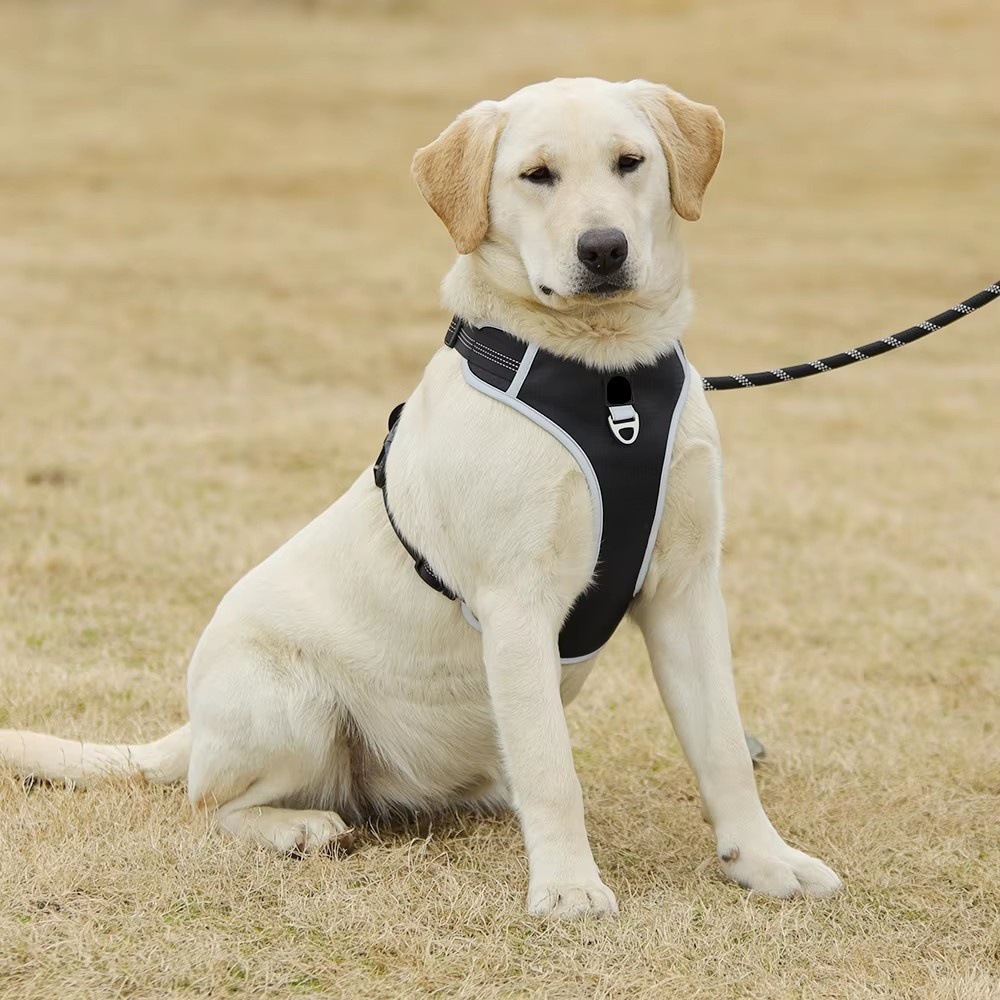 犬 ハーネス やわらか快適メッシュハーネス