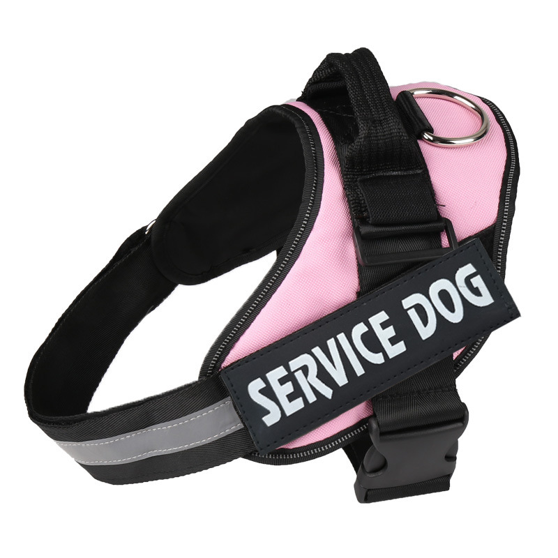 https://fulmo-img-server.com/wonderfulharness/708007e6-9447-4a0d-886f-74aade5e703a.jpg