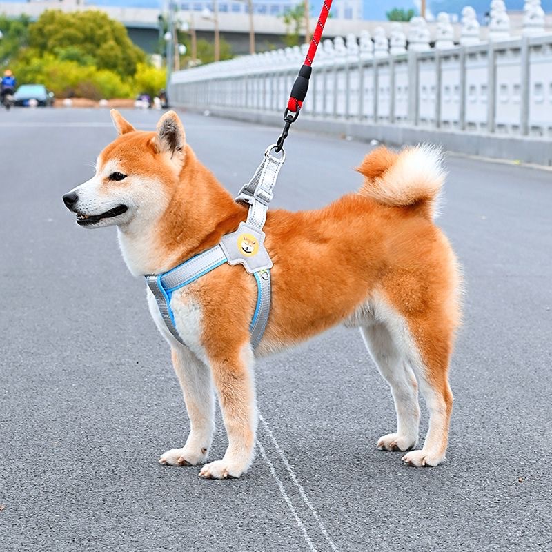 https://fulmo-img-server.com/wonderfulharness/70c956f4-5086-49a5-b08f-c5b90119b471.jpg
