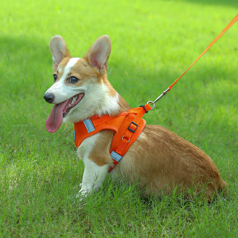 犬 ハーネス やさしさハグハーネス