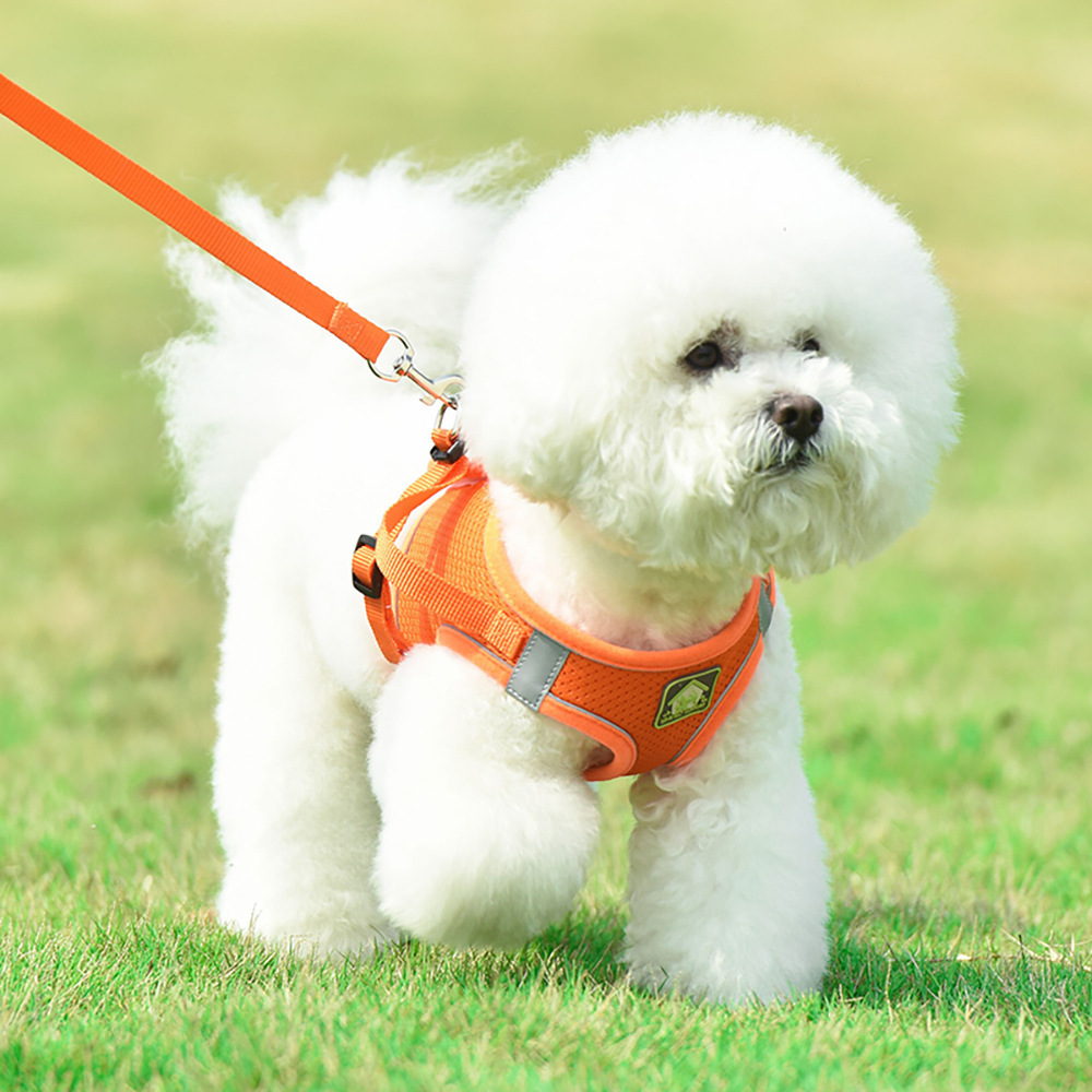 https://fulmo-img-server.com/wonderfulharness/7128c501-f0cd-488b-9a85-fe72c195f862.jpg