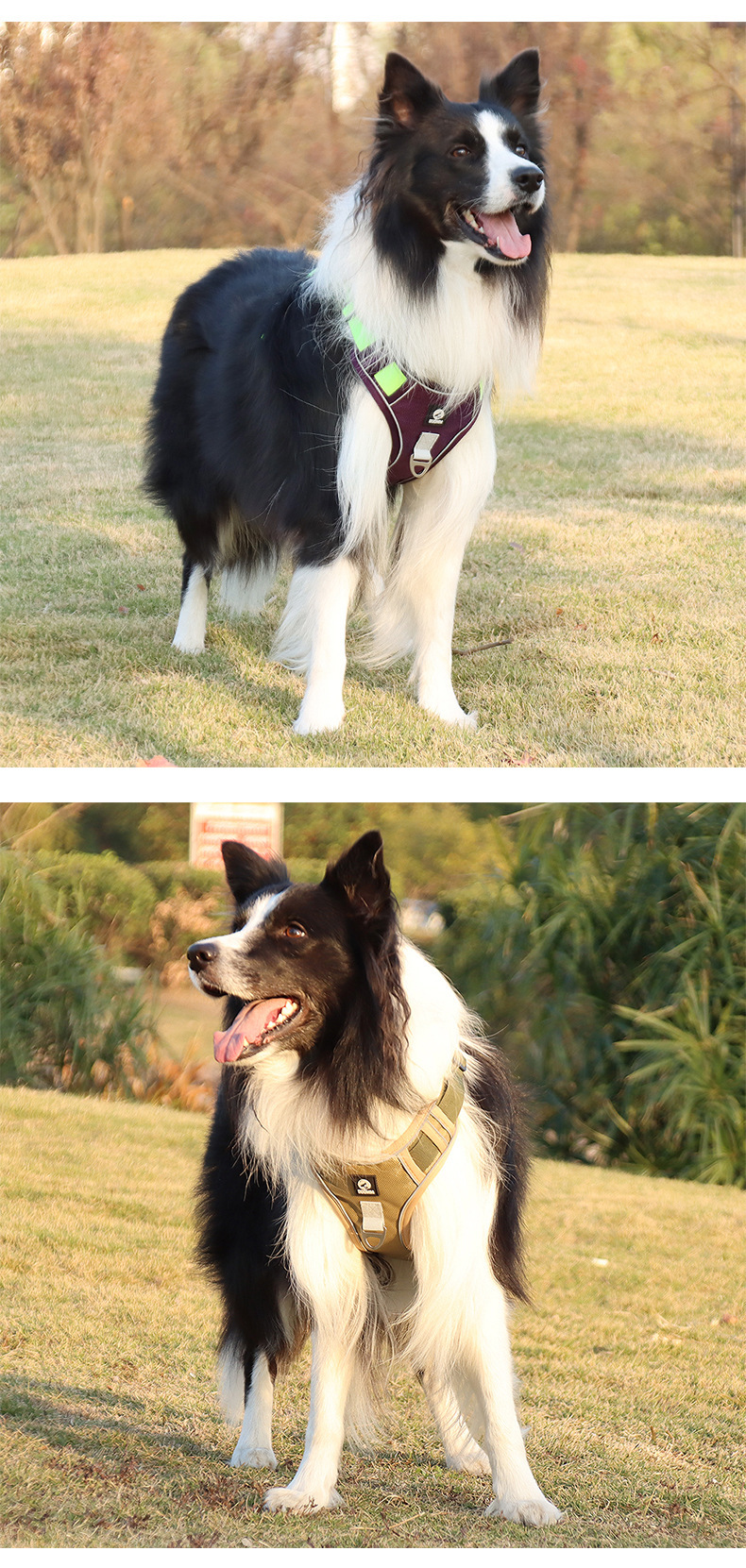 犬 ハーネス なめらかフィット 軽量ハーネス