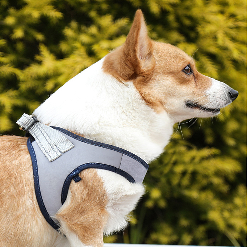 犬 ハーネス なめらか軽量ハーネス