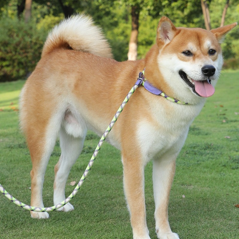 犬 ハーネス 職人の手編み上質リード