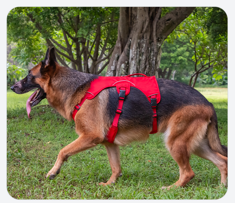 https://fulmo-img-server.com/wonderfulharness/722a71aa-d88c-4adc-8a2a-e75b91a84edd.jpg