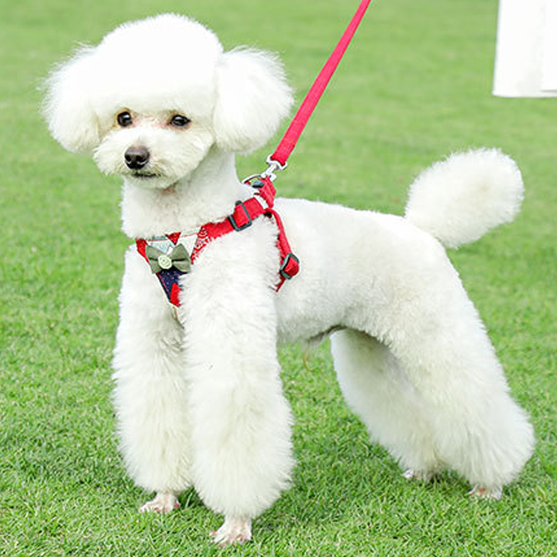 犬 ハーネス 和風リボン結び ふんわりハーネス