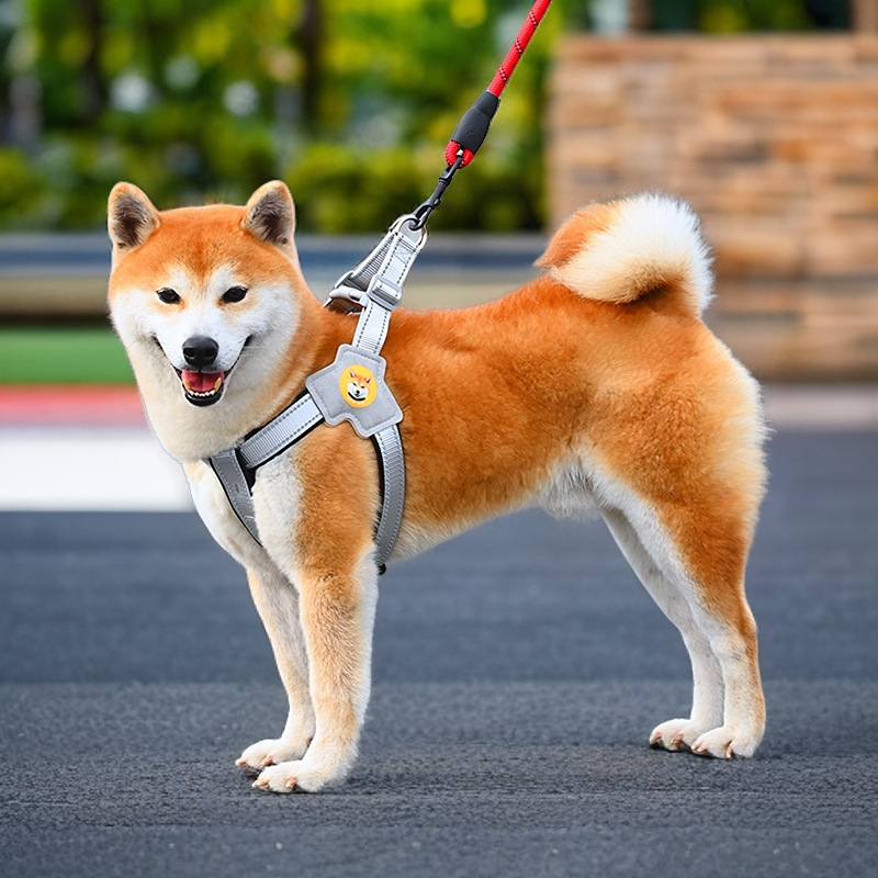 犬 ハーネス 柴犬のための快適シンプルハーネス