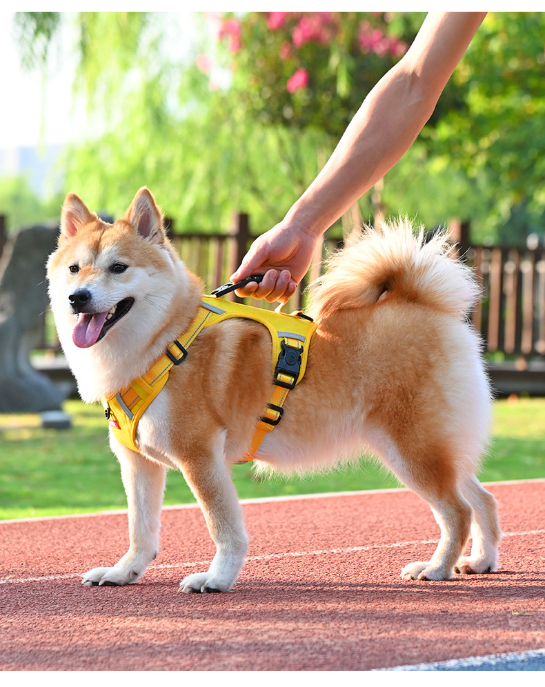 犬 ハーネス 柔らか素材の安心ハーネス