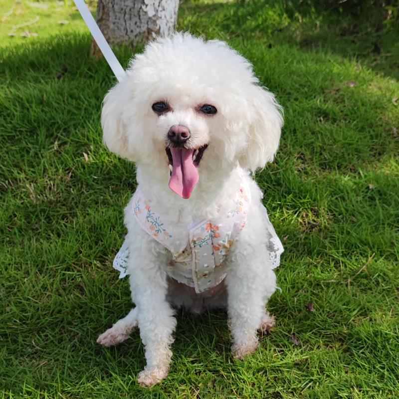 犬 ハーネス 優雅な花柄レース ゆったりハーネス