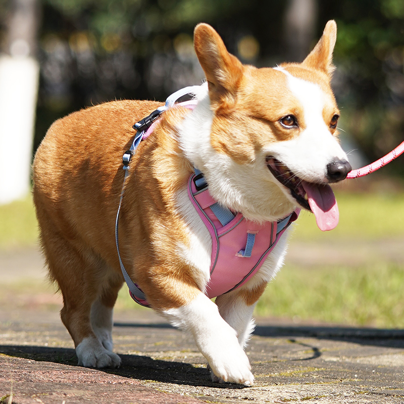犬 ハーネス やさしフィット ペット用胴輪