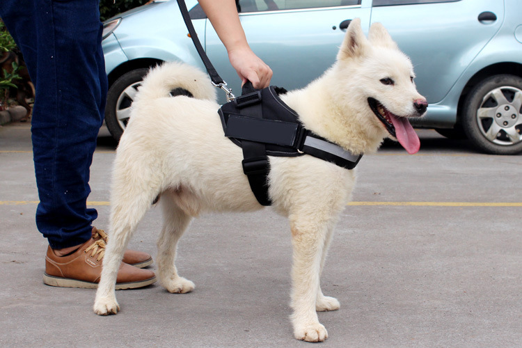 犬 ハーネス なめらか安心ハーネス