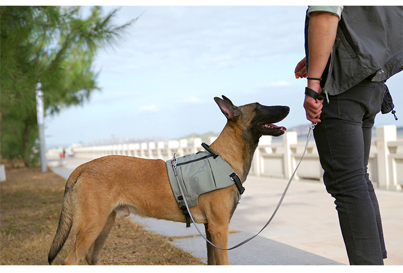 犬 ハーネス アウトドア機能派 全天候型ハーネス