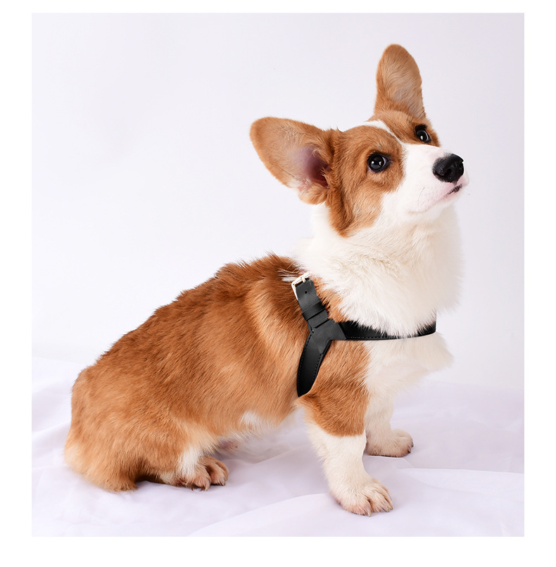 犬 ハーネス 職人の手作り上質ハーネス