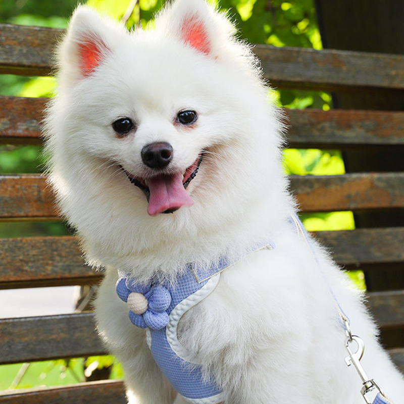 犬 ハーネス お花の香りハーネス