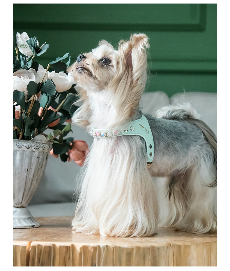 https://fulmo-img-server.com/wonderfulharness/7470ac15-cf3a-4f7a-a361-3acb0ea38eac.jpg