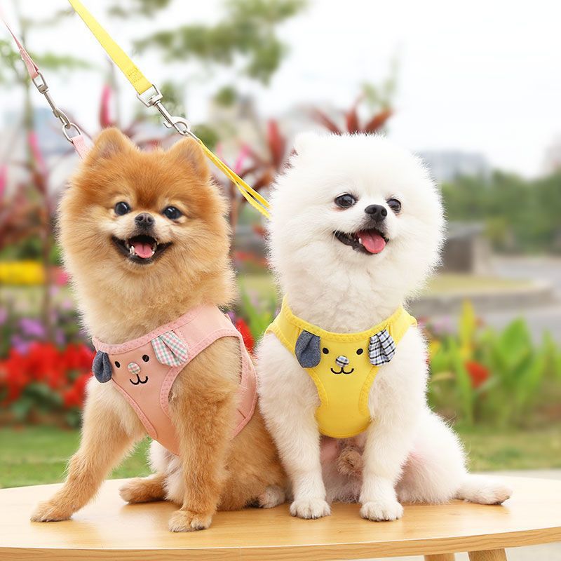 https://fulmo-img-server.com/wonderfulharness/747dc8e7-826b-42ce-b540-3f8bb902b37c.jpg