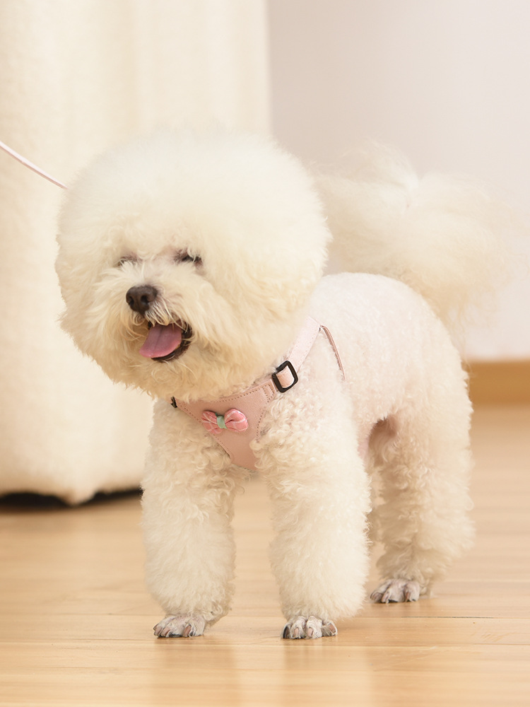 犬 ハーネス リボン付きふんわり胸当てハーネス