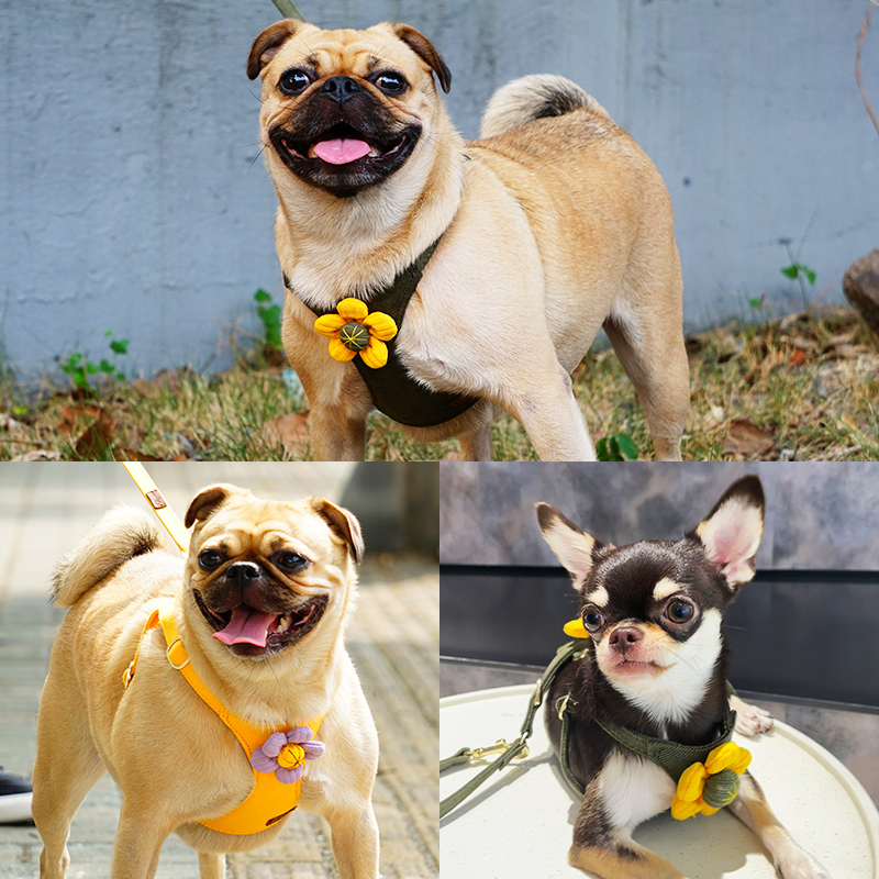 犬 ハーネス お花のハーネス「ぷぴタイ」