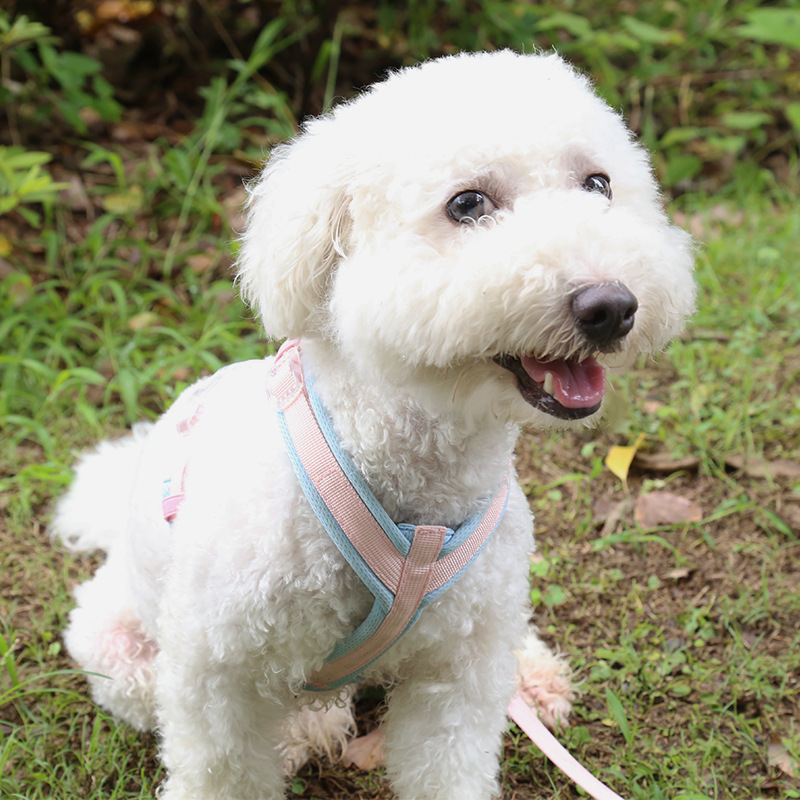 犬 ハーネス 快適やわらか ふんわりハーネス