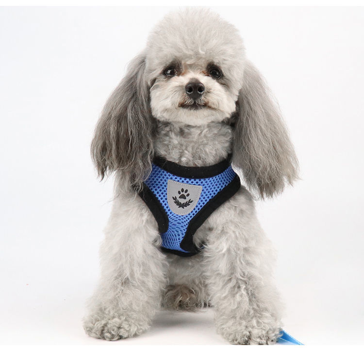 https://fulmo-img-server.com/wonderfulharness/75a8cfb1-8b8a-4966-8e7d-bb5642a4e1d3.jpg