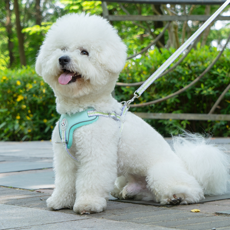 犬 ハーネス ふわもこ アクティブ ハーネス