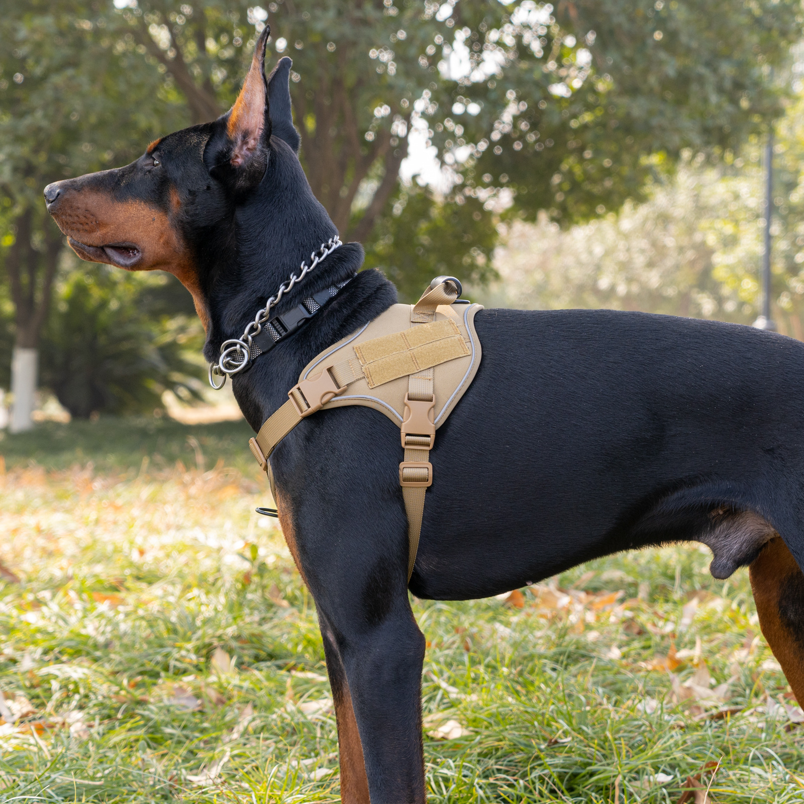 犬 ハーネス 大型犬用 フィット感抜群 サポートハーネス