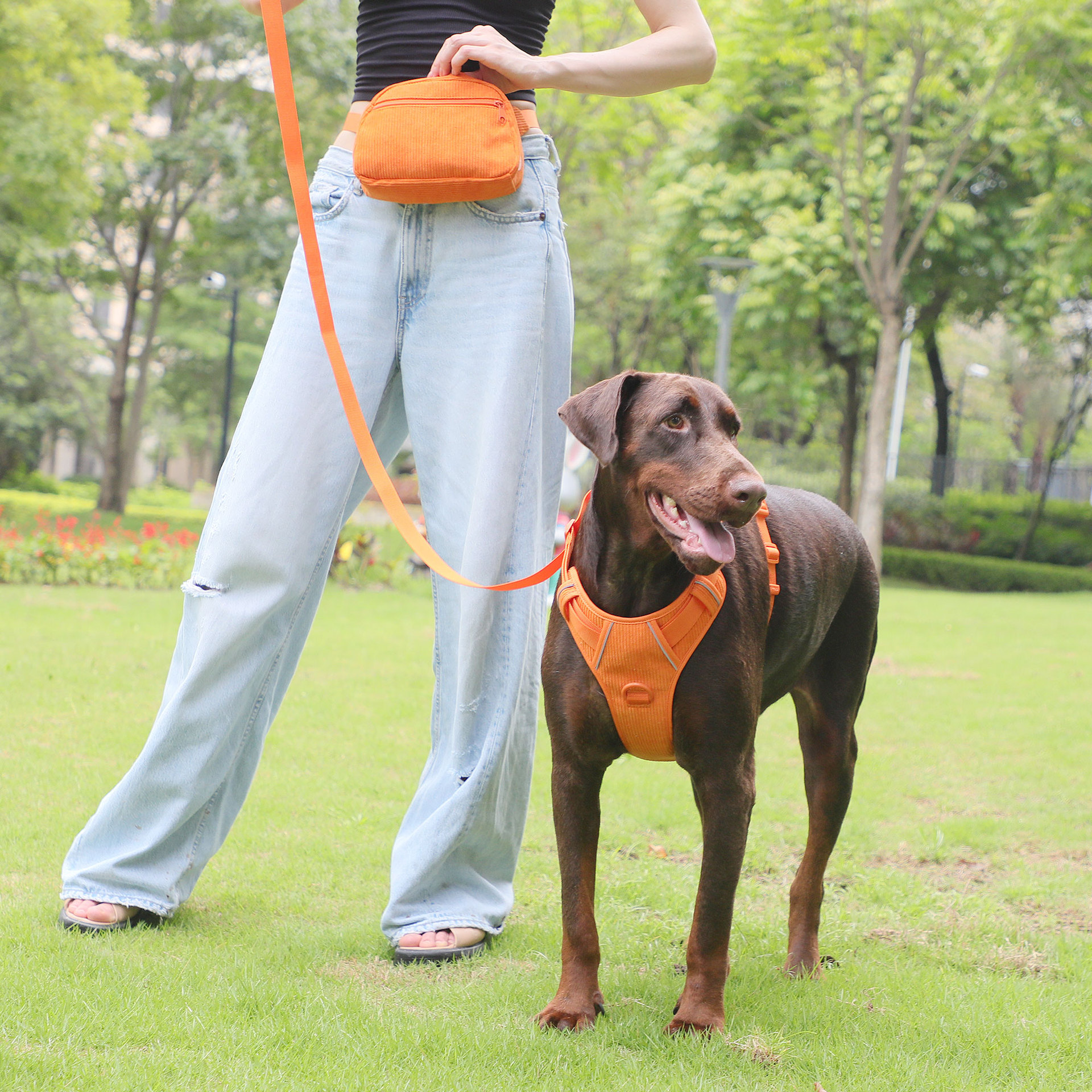 https://fulmo-img-server.com/wonderfulharness/75e3bb23-a3cb-4134-992d-bfebdc7febd4.jpg