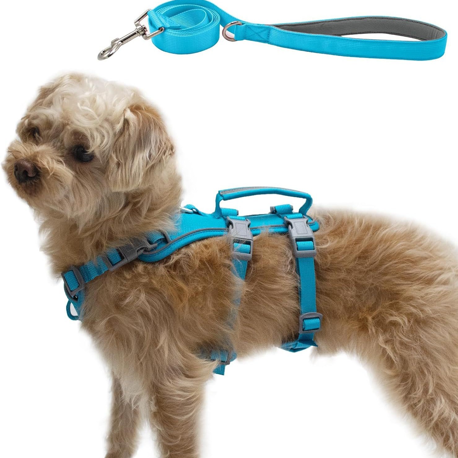https://fulmo-img-server.com/wonderfulharness/760dabbd-2aff-4415-8572-c7ba192a8877.jpg