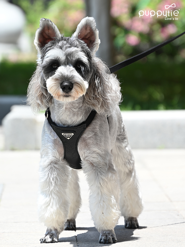 犬 ハーネス しなやかフィット装着具