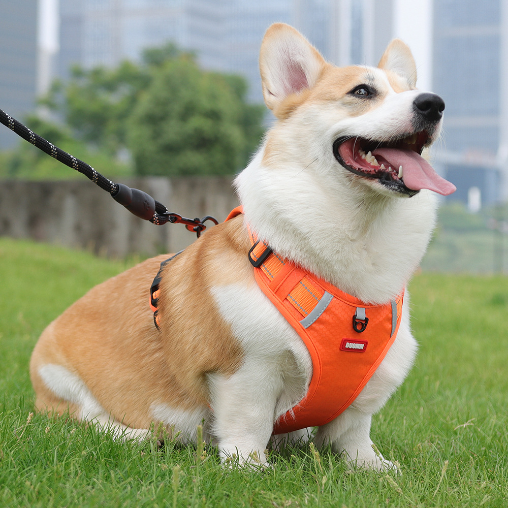 犬 ハーネス ゆとりの散歩ハーネス