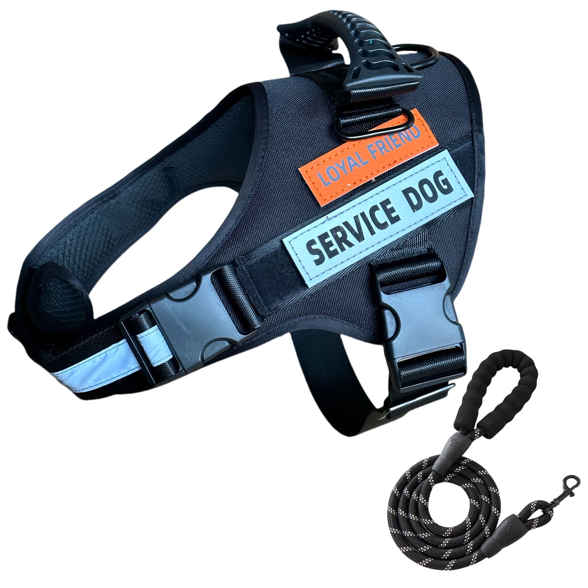 https://fulmo-img-server.com/wonderfulharness/76db1eb8-7e95-4767-9dc6-a78354d56e17.jpg